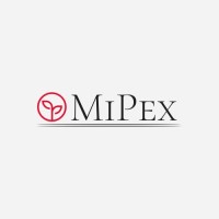 Mipex Global Co.,ltd logo - Similar company to In:Motion