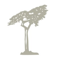 Stacey Robertson Group