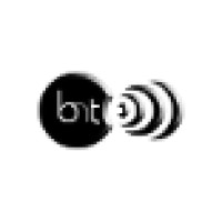 Black Network Television