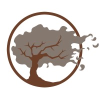 Little Timber Co. logo - Similar company to Modaton Sp. Z O.O.