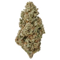 Marijuana Chronic Center logo - Similar company to Rips International Ltd