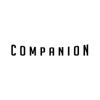 Companion Systems logo - Similar company to Ftsi Inc.