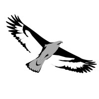 Chivara Engineering & Construction (Pty) Ltd logo - Similar company to Kmsd Engineering Consultants (Pty) Ltd