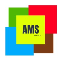 Axe Multi Services AMS logo - Similar company to Samiver Saint Martin