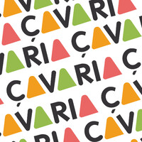 çavaria logo - Similar company to Wybernet