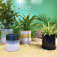 ChiveUK logo - Similar company to Proqis