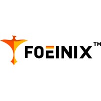 Foeinix.in logo - Similar company to Eqsta