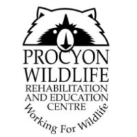 Procyon Wildlife Rehabilitation and Education Centre logo - Similar company to Sciensational Sssnakes!!