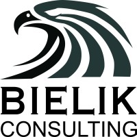 Bielik Consulting logo - Similar company to Iderum