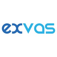 exvas logo - Similar company to Eloro For Development