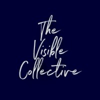 The Visible Collective SG logo - Similar company to Acer Academy