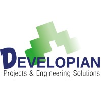 Developian logo - Similar company to Flytask
