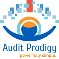 Audit Prodigy logo - Similar company to Rainbow Riggers Ltd