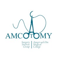 AMCotomy logo - Similar company to Research Nerds