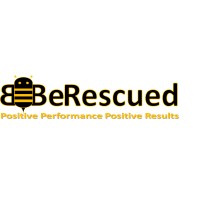 BE RESCUED (BUSINESS) CONSULTING LIMITED logo - Similar company to Bm&T European Restructuring Solutions