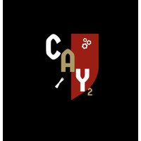 Coleman A. Young II Educational Foundation logo - Similar company to Sutdio