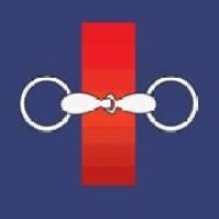 DocHorse logo - Similar company to Trona Equestrian