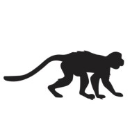 Wanderoo logo - Similar company to Spacest.Com