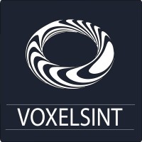 VOXELSINT LABS logo - Similar company to Spengler - 3D Printing And Post-Processing Systems Engineering