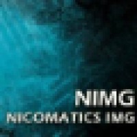 Nicomatics IMG logo - Similar company to Visometric