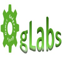GLabs Solutions logo - Similar company to Glabs Digital