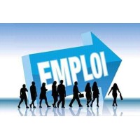 Emploidz logo - Similar company to Emploitic.Com