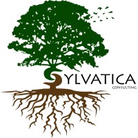 Sylvatica Consulting logo - Similar company to Leben Welt