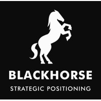 Blackhorse Strategic Positioning logo - Similar company to Data Jukebox
