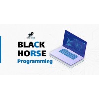 Black Horse Programming logo - Similar company to Annotex
