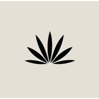 Idilica Tequila logo - Similar company to Maison Héritage