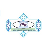 AlgEnerg Private Limited logo - Similar company to Sunwings Renewable Solutions