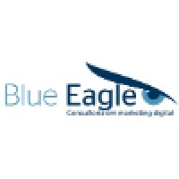 Blue Eagle - Consultoria Em Marketing Digital