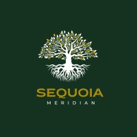 Sequoia Meridian logo - Similar company to Iradar Data