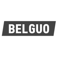 BELGUO logo - Similar company to K-Force | Connected By Ict