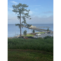 Kaiser Sotheby’s International Real Estate logo - Similar company to Oversite Data Services