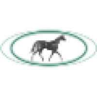 Paton and Lee LLP Equine Veterinary Surgeons-
