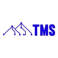 The mountain Software logo - Similar company to Sns Future Tech