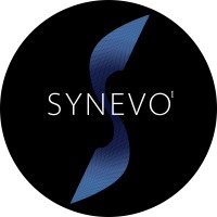 SYNEVO I (Pty) Ltd. logo - Similar company to Lilibara Projects (Pty) Ltd