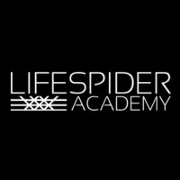 LIFESPIDER ACADEMY logo - Similar company to Abloom Consulting