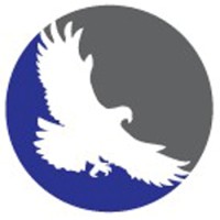Falcon Technology Solutions logo - Similar company to Falcon Technologies