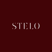 STELO Creative logo - Similar company to Silver State Live