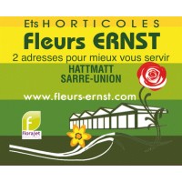 Fleurs ERNST logo - Similar company to S.M.E.F Madagascar