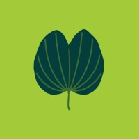 Bauhinia eco-social logo - Similar company to Ânimabrands Strategic Soulful Design