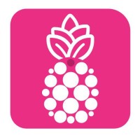 ananasjob logo - Similar company to Payamgostar Academy-آکادمی پیام گستر