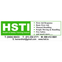 H&S Lane Consultants