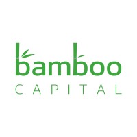 Bamboo Capital Holdings Ltd.