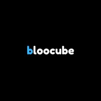 BlooCube logo - Similar company to Tribe Serve
