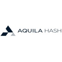 Aquila Hash, Inc. logo - Similar company to Redbridge Securities