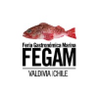FEGAM Valdivia logo - Similar company to Representaciones Valdivia E.I.R.L.