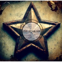 Tin Star HR Consulting logo - Similar company to Breaking Barriers, Therapy Services